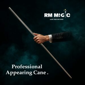 Professional Appearing Cane - silver